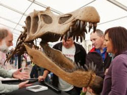 Pluscrates helps 200 million year-old customer visit the seaside